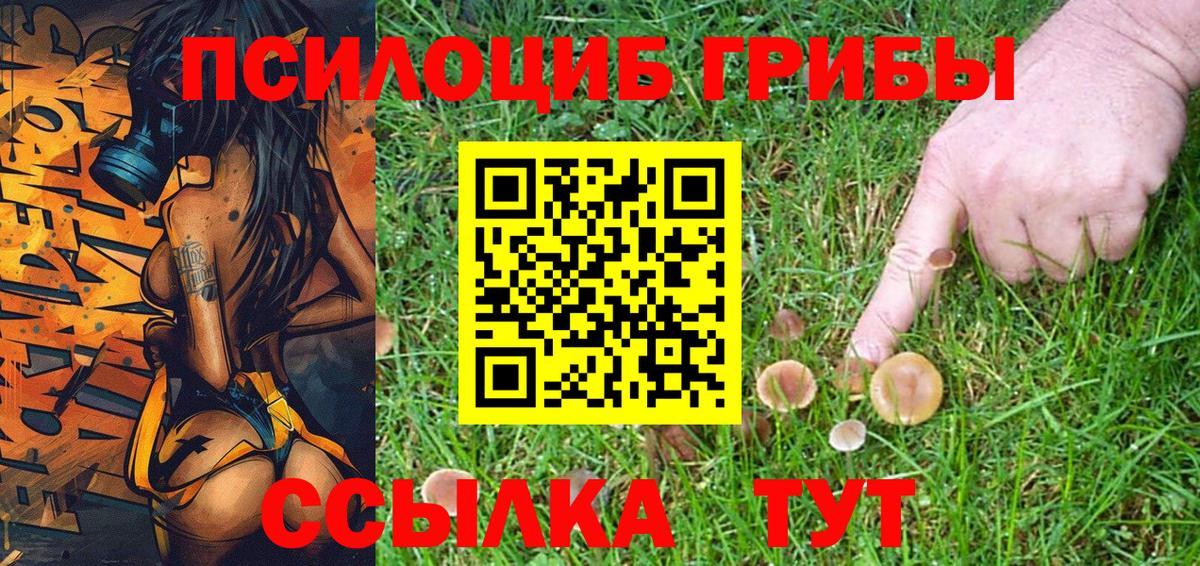 Выкса  Псилоцибиновые грибы Magic Shrooms  Вход с VPN 